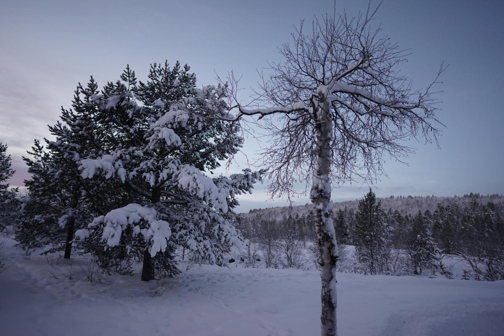 Muotkan Ruoktu Tunturikyla Inari Exteriér fotografie
